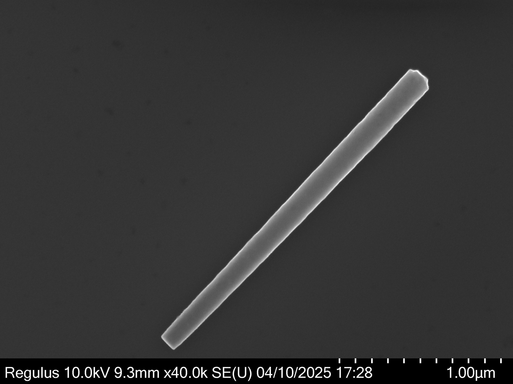Single Nanowire After drying_YL0281C_0009