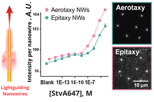 Aligned bio aerotaxy epitaxy