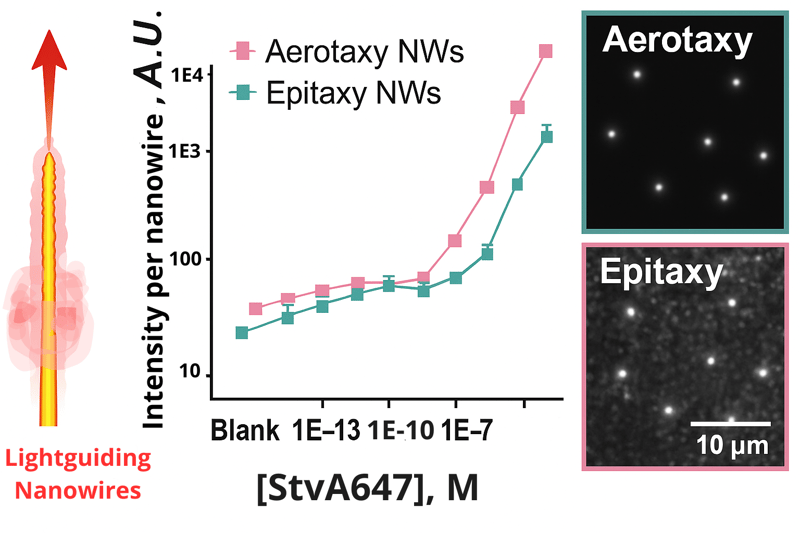 aligned bio aerotaxy